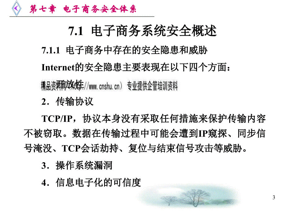 电子商务系统安全与安全技术PPT课件_第3页