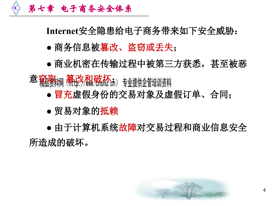 电子商务系统安全与安全技术PPT课件_第4页