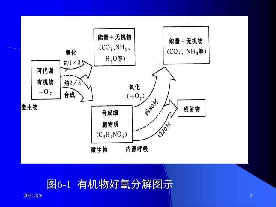 第二章废水好氧生物处理_第5页