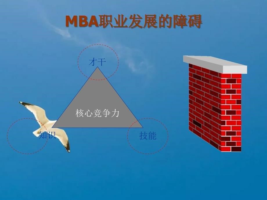 MBA职业生涯规划.ppt课件_第5页