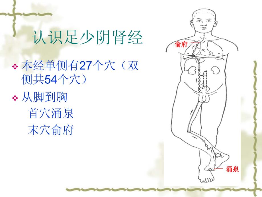 十四经络之肾膀胱_第2页