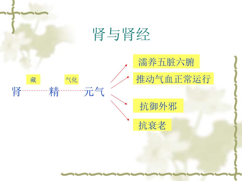 十四经络之肾膀胱_第3页