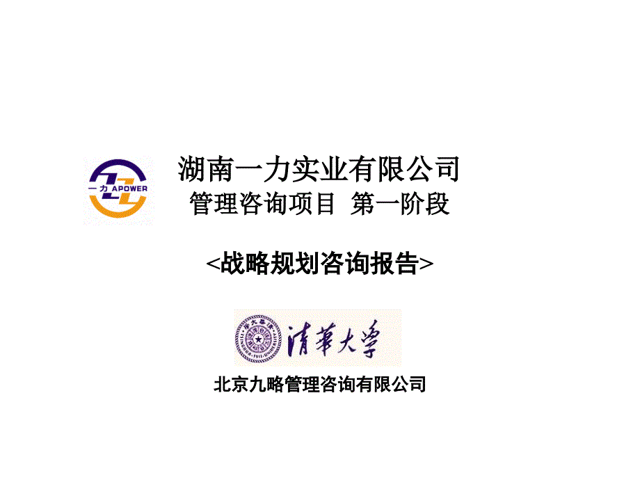 战略规划咨询报告(102张幻灯片)课件_第1页