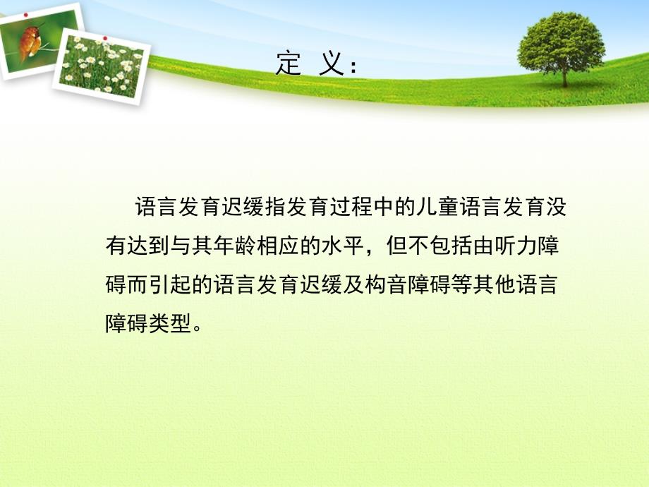 儿童语言发育迟缓课件_第2页