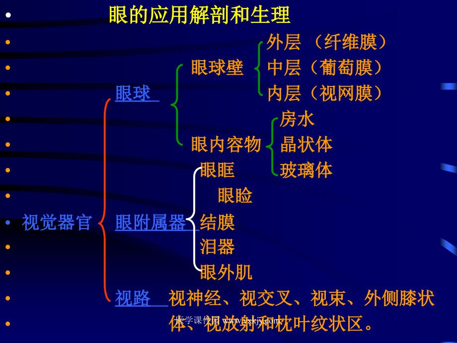 眼科学的研究范围及其在医学中的地位_第3页