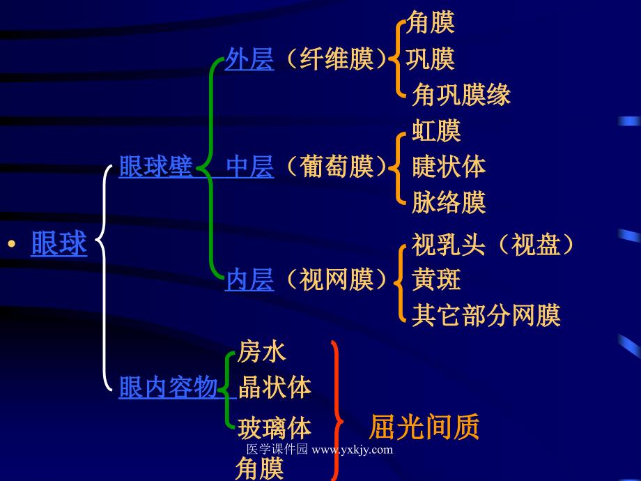 眼科学的研究范围及其在医学中的地位_第4页