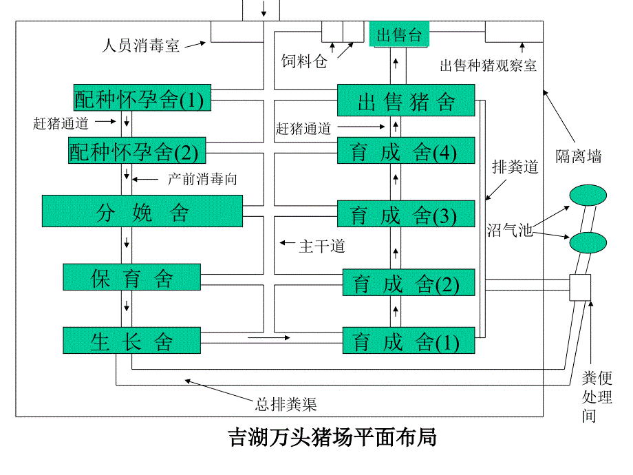 大型规模化猪场平面示意图集_第3页