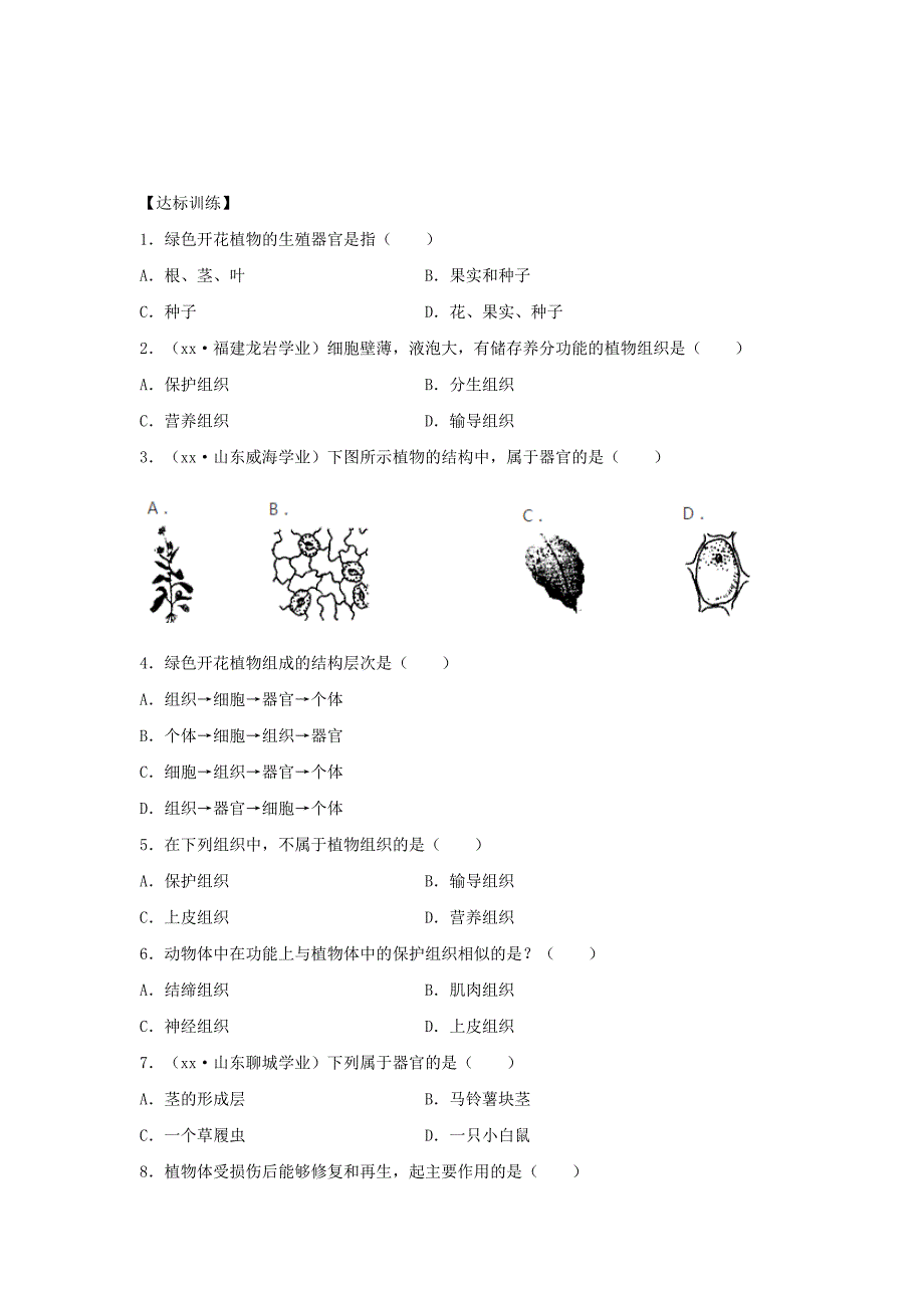 七年级生物上册 2.2.3《植物体的结构层次》练习 （新版）新人教版_第3页