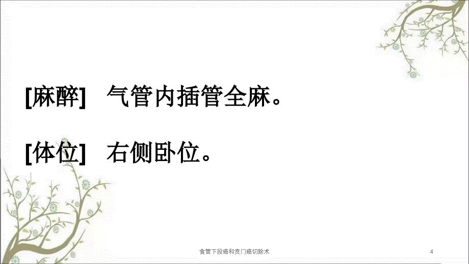 食管下段癌和贲门癌切除术课件_第4页