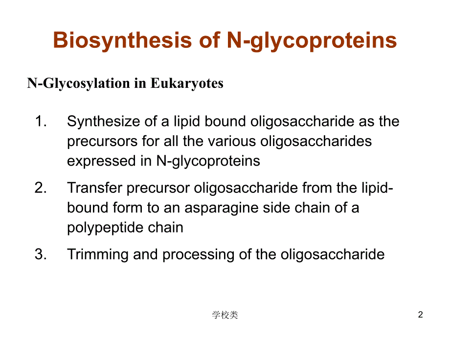 糖蛋白和糖肽的化学合成#上课课件_第2页