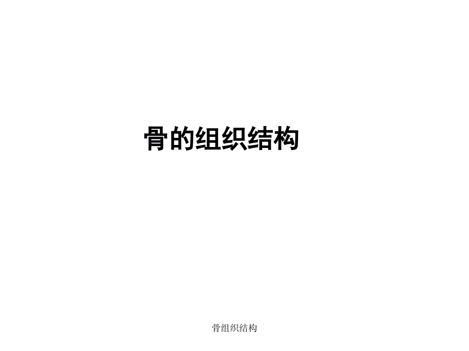 最新骨组织结构_第1页