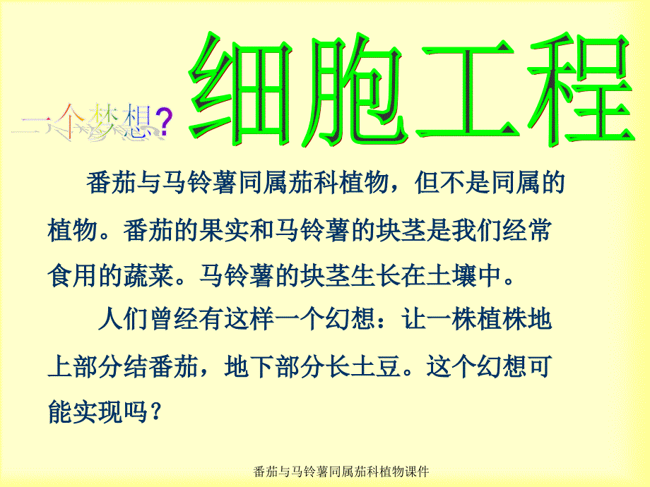 番茄与马铃薯同属茄科植物课件_第1页