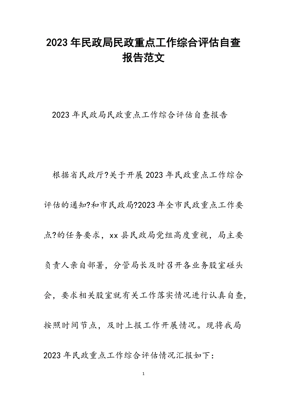 2023年民政局民政重点工作综合评估自查报告.docx_第1页