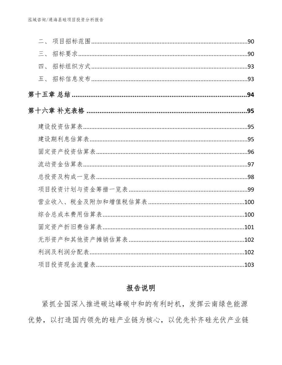 通海县硅项目投资分析报告参考范文_第5页