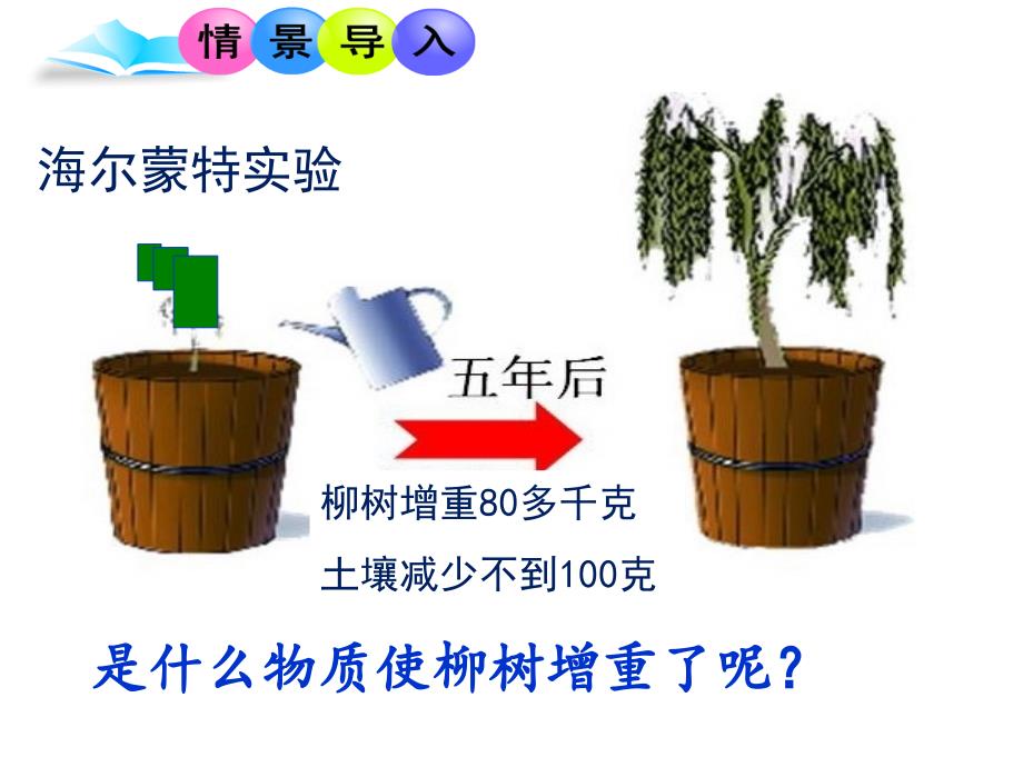 人教版七年级上光合作用吸收二氧化碳释放氧气ppt课件全面版_第2页