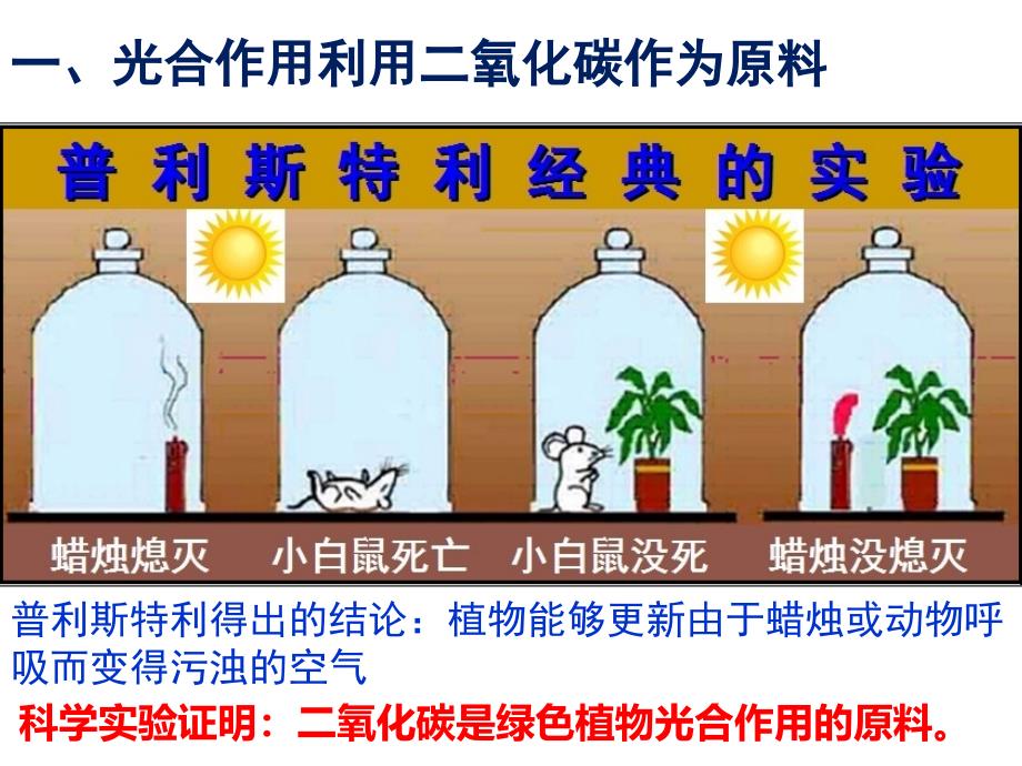 人教版七年级上光合作用吸收二氧化碳释放氧气ppt课件全面版_第4页