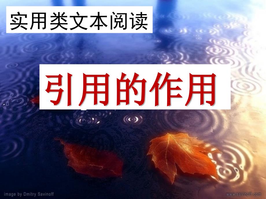 引用的作用PPT优秀课件_第1页