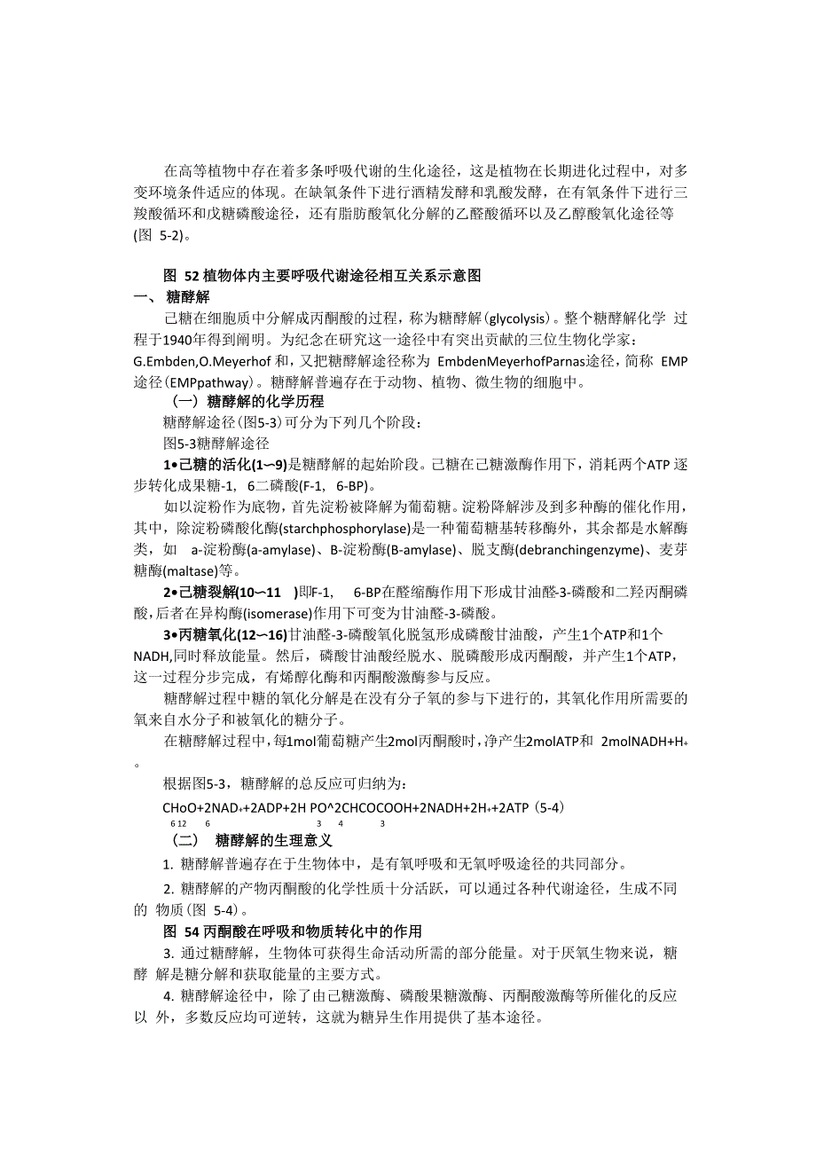 糖酵解 三羧酸循环最全总结_第1页