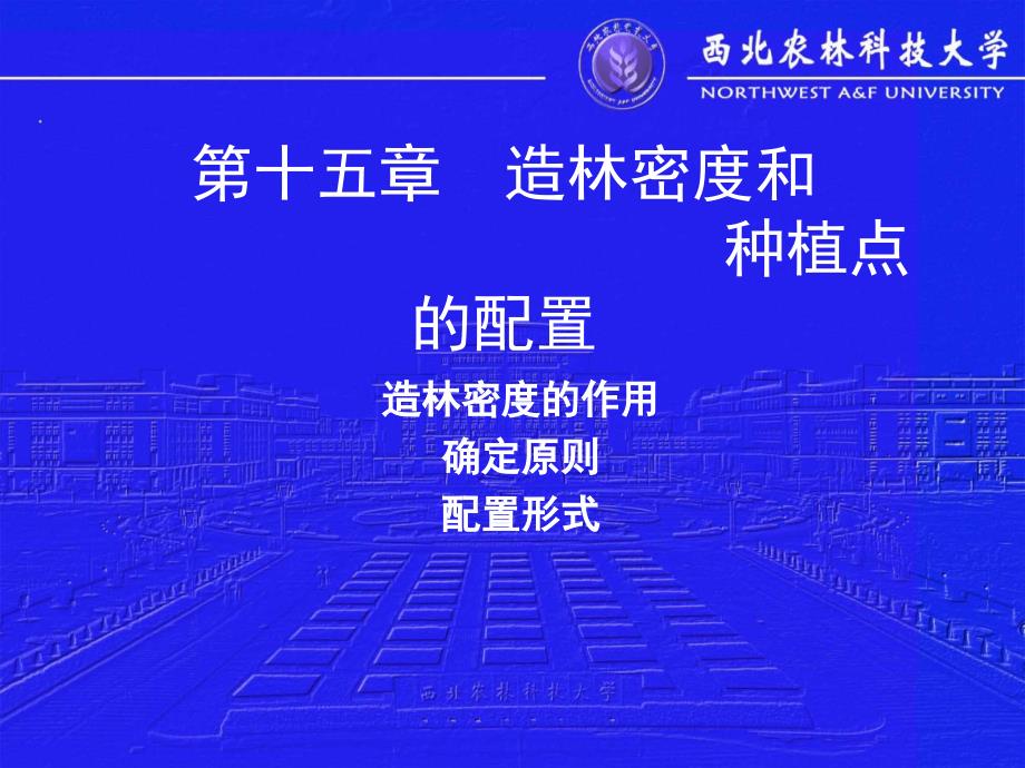十五章节造林密度和种植点配置_第1页