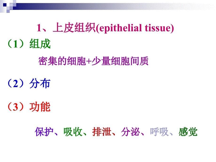 动物体的基本结构和原‘生动物_第5页