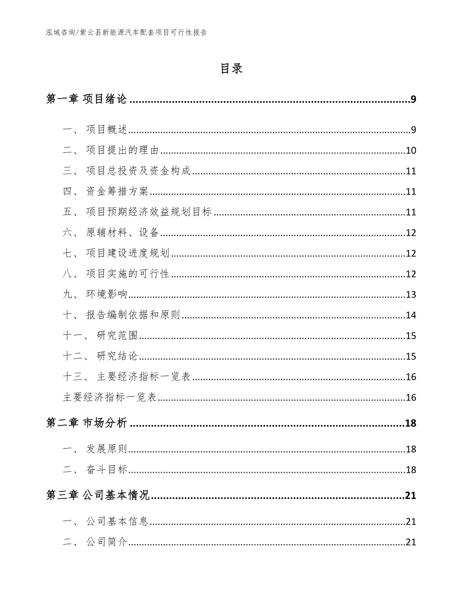 紫云县新能源汽车配套项目可行性报告【参考范文】_第2页