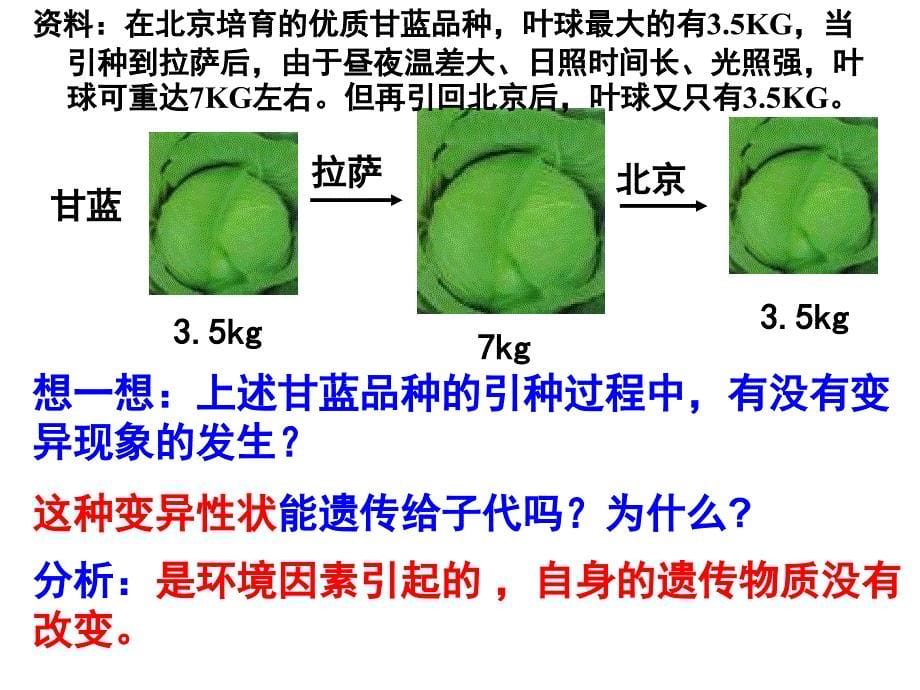 基因重组染色体变异基因突变_第5页