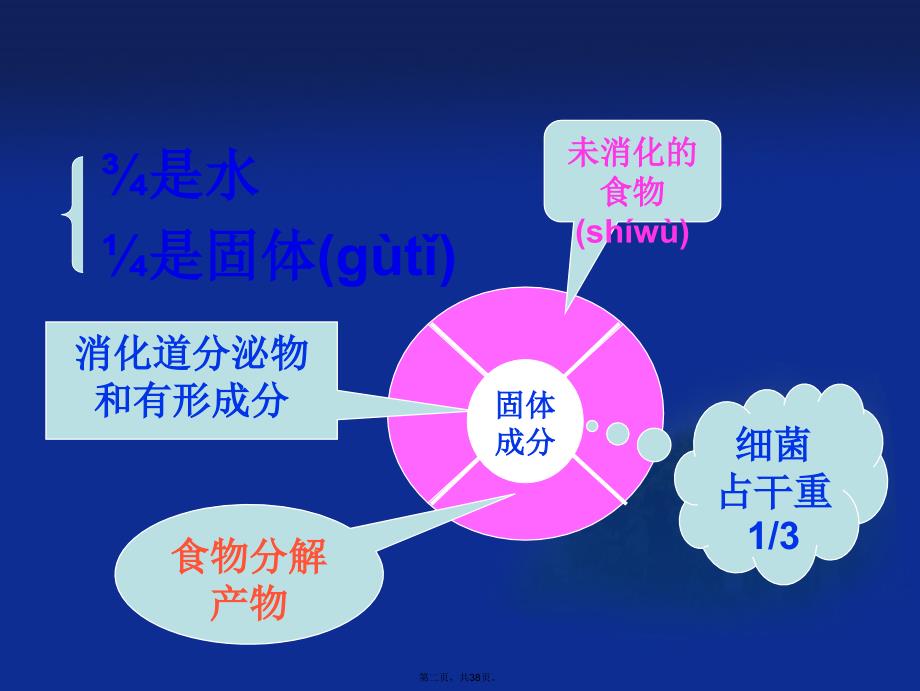 三大常规-粪便检查教学文案_第2页