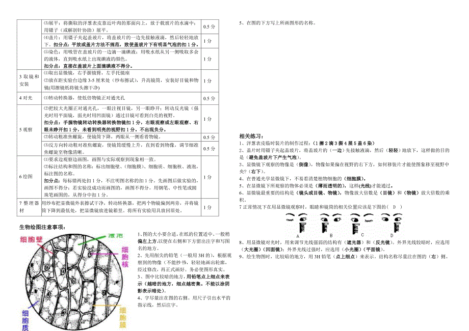 观察花的结构_第4页