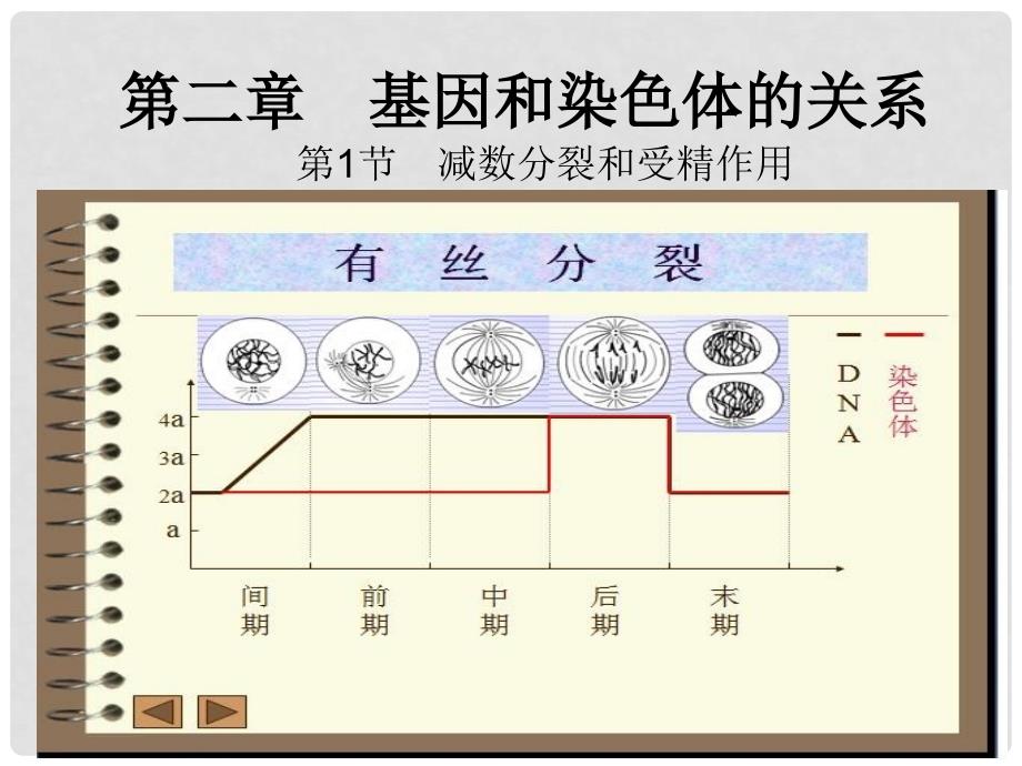 高一生物《减数分裂和受精作用》PPT课件_第1页