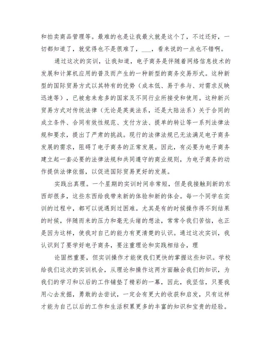 2022年电子商务实训报告总结范文_第3页