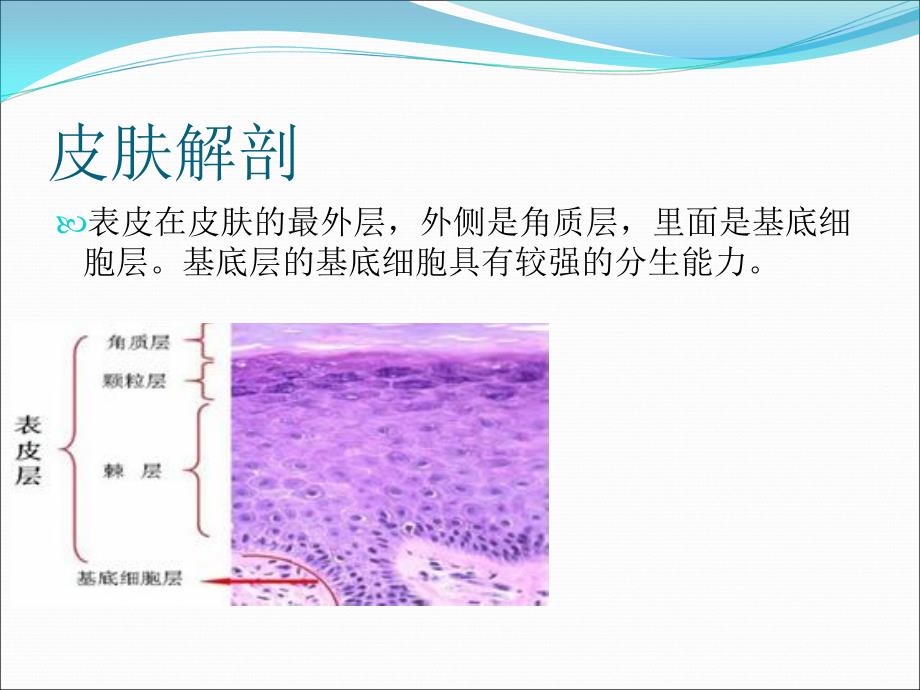 皮肤疾病的超声诊断_第4页