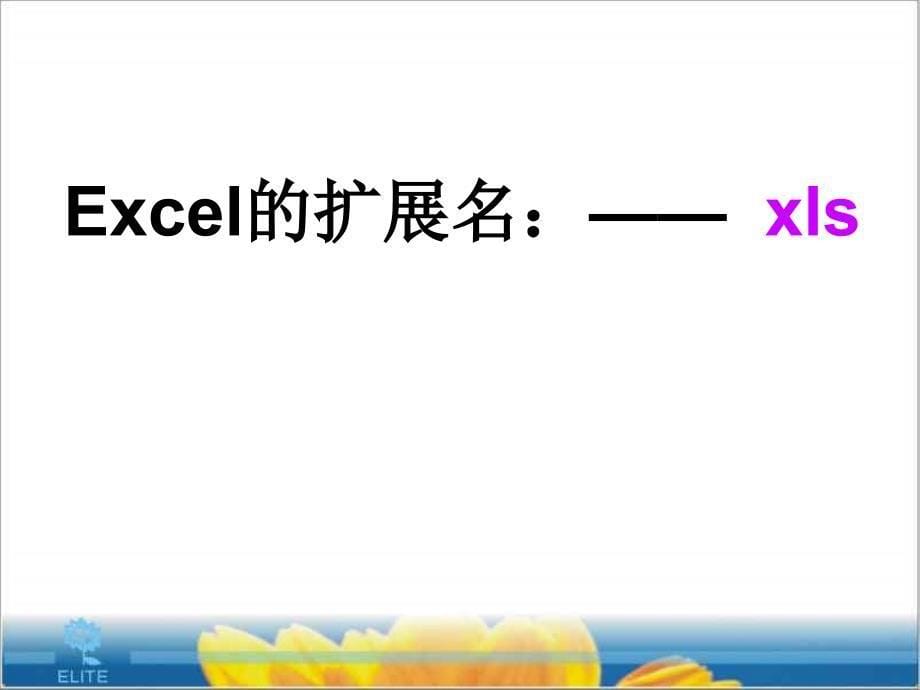 初识电子表格Excel公开课ppt课件_第5页