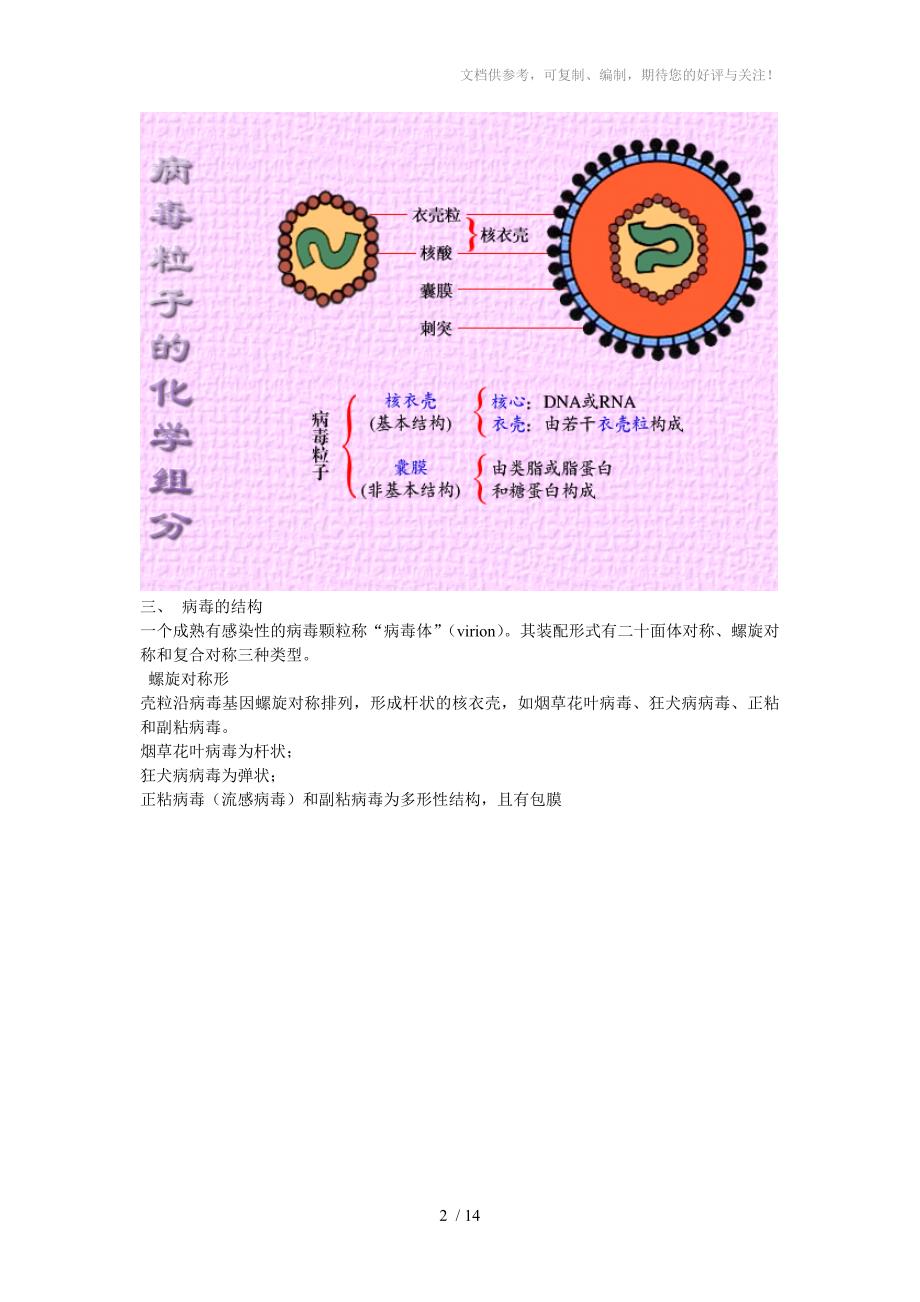 病毒的发现及概念_第2页