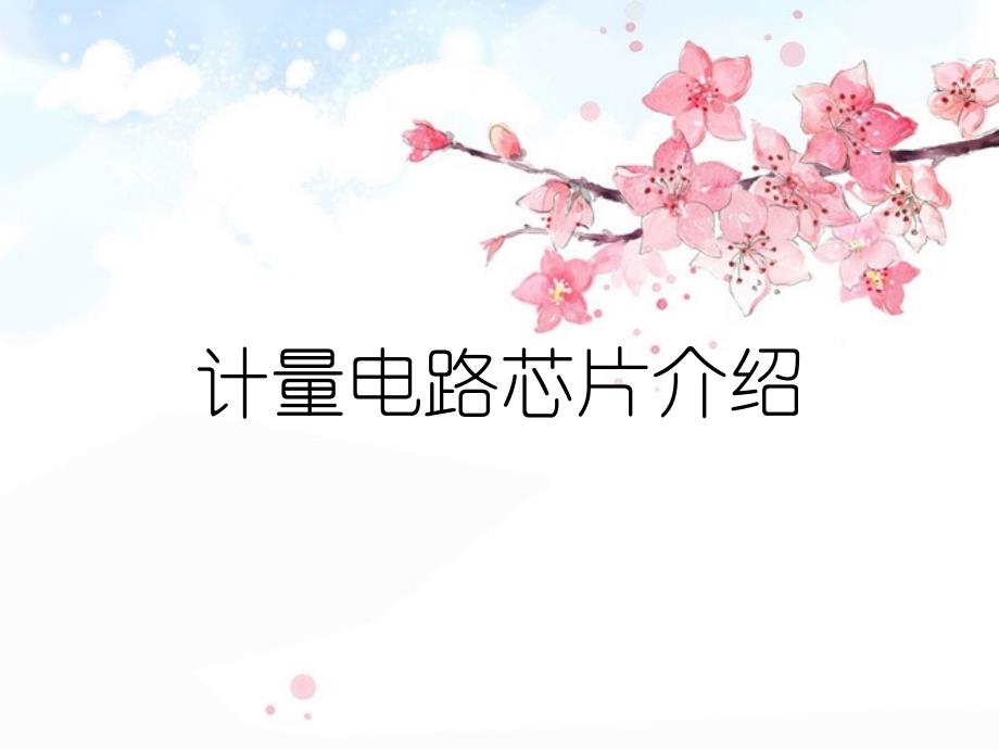 计量电路芯片介绍_第1页