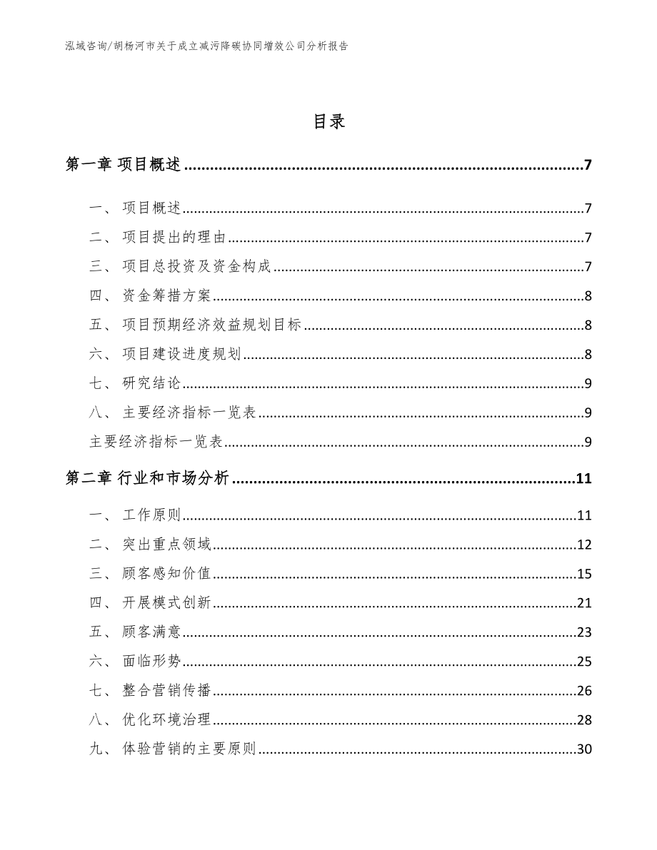 胡杨河市关于成立减污降碳协同增效公司分析报告【模板范文】_第3页