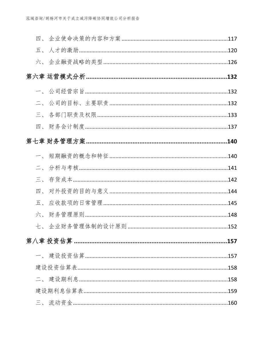 胡杨河市关于成立减污降碳协同增效公司分析报告【模板范文】_第5页