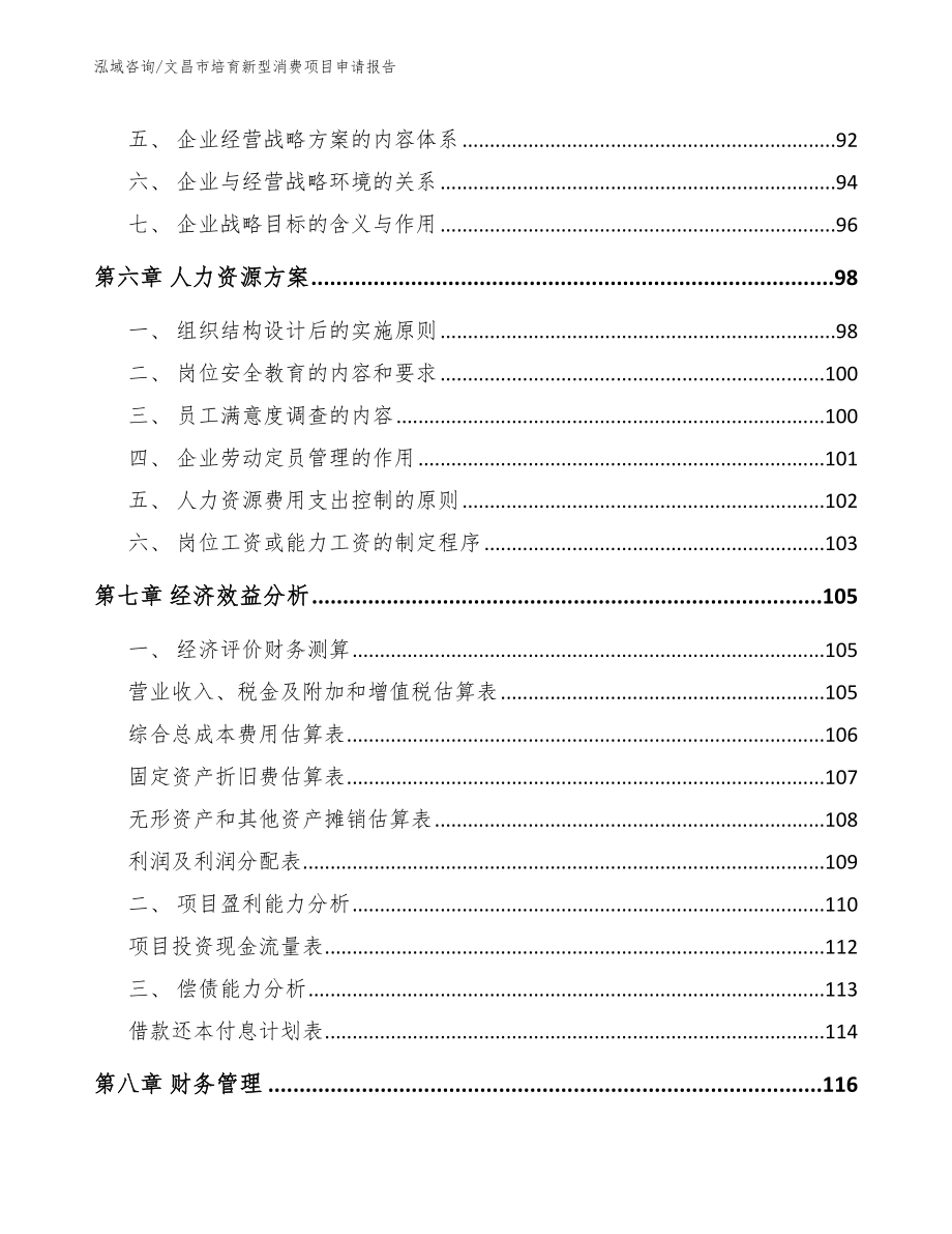 文昌市培育新型消费项目申请报告_第4页