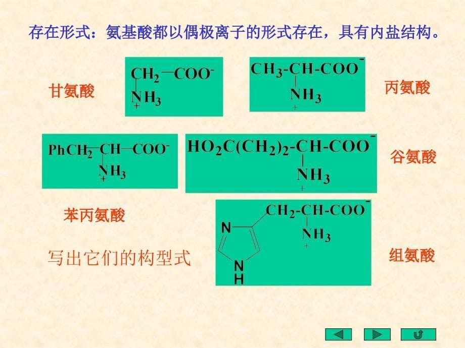 第十八章氨基酸、多肽、蛋白质和核酸_第5页