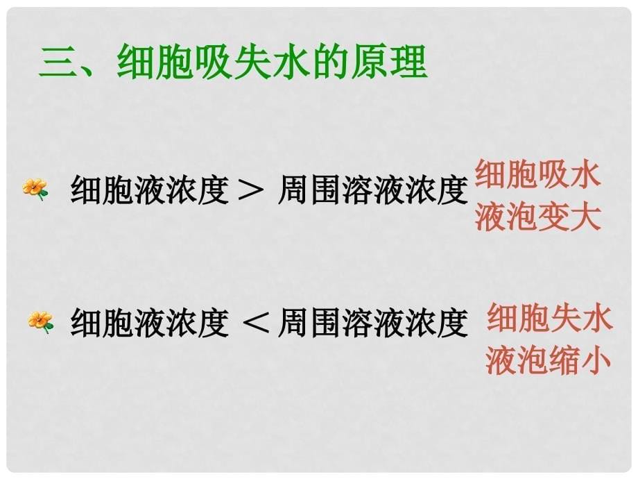 八年级生物上册 第三单元 植物的生活 第二章 根的吸收作用 第二节 根对水分的吸收课件 冀教版_第5页