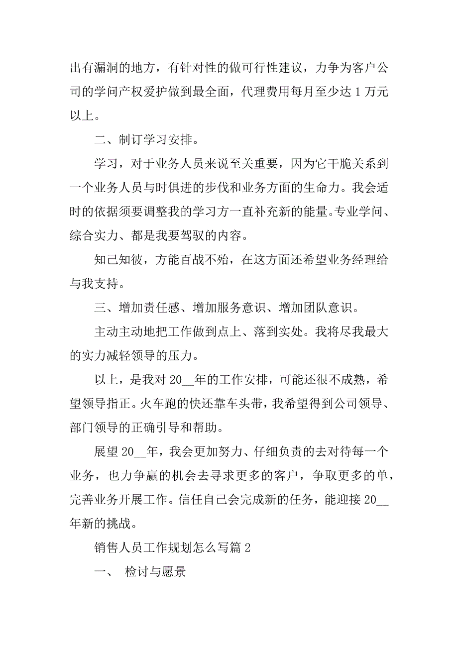 2024年销售人员工作规划怎么写_第3页