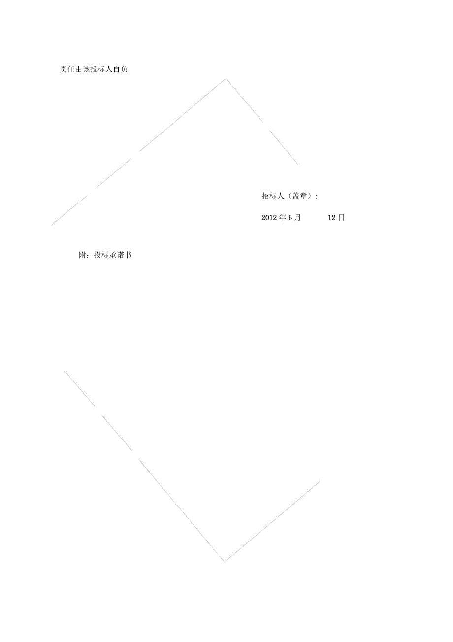 小型建设工程施工抽签定标招标文件_第5页