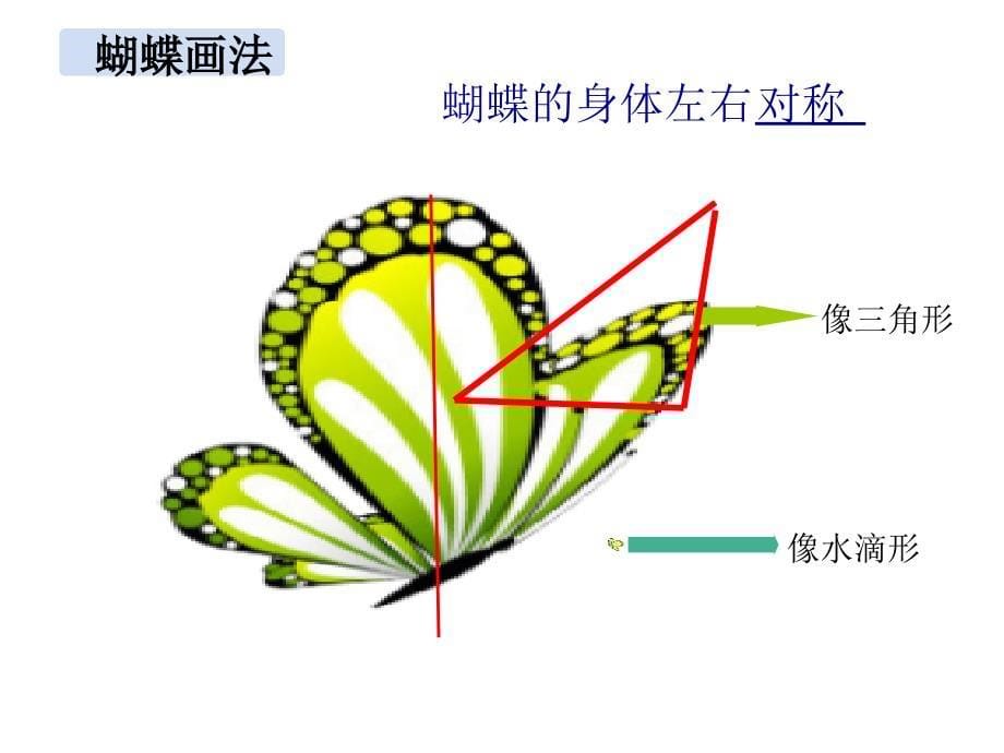 湘版美术四年级上册14课蝴蝶落我家美术课件_第5页