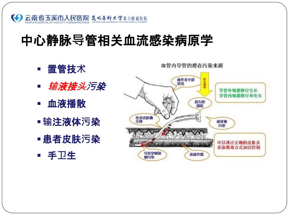 输液接头的日常维护和更换讲义课件_第3页