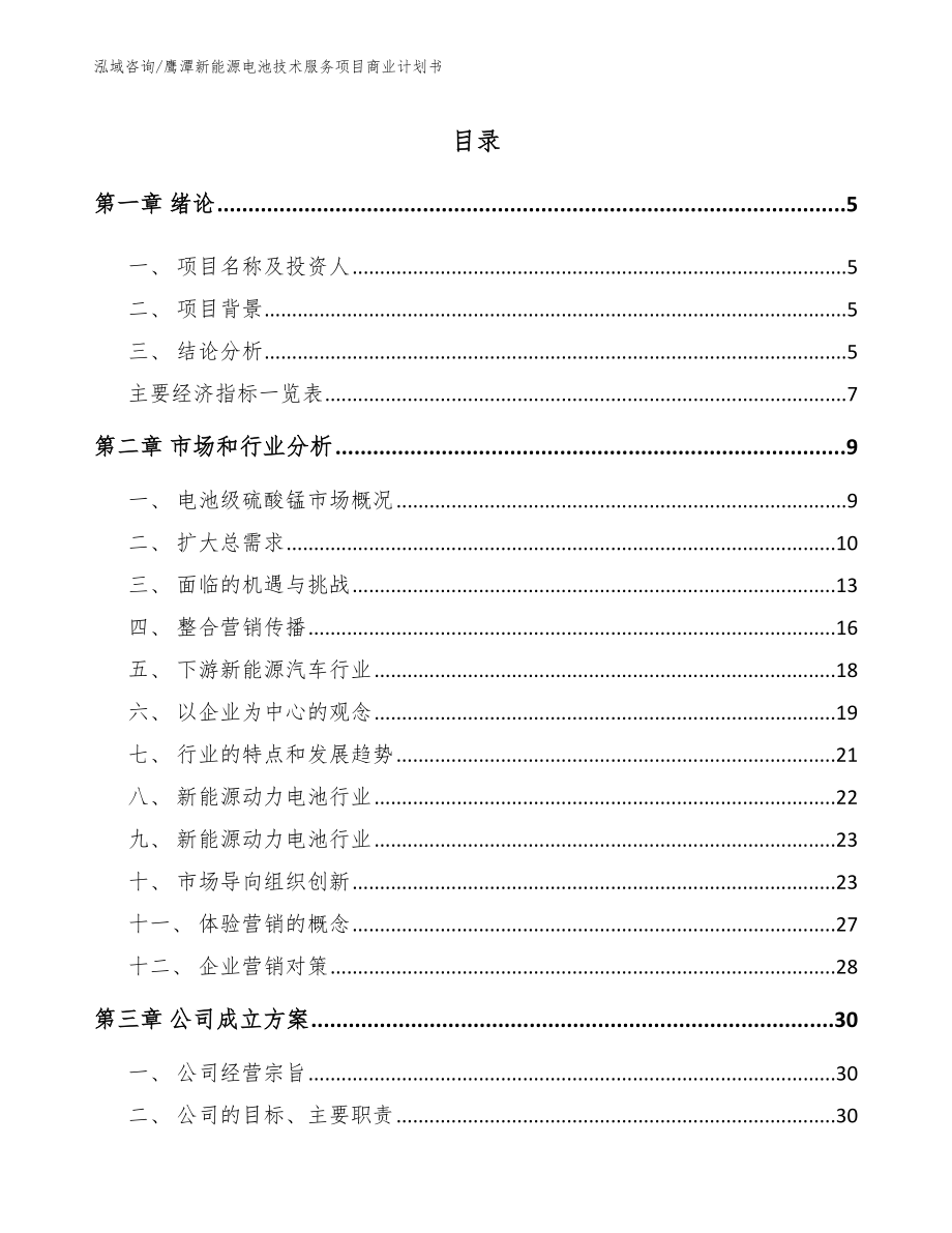 鹰潭新能源电池技术服务项目商业计划书_范文模板_第1页