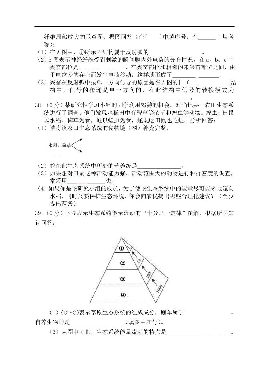 江苏省南菁高级中学2008—2009学年度第一学期高二生物期末考试试卷（必修）.doc_第5页