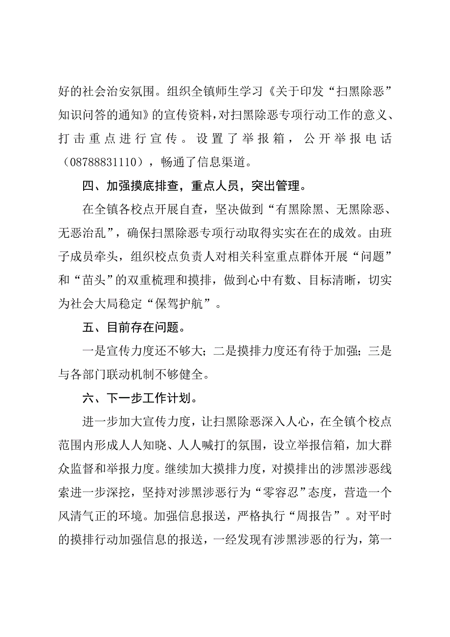 扫黑除恶工作总结_第2页