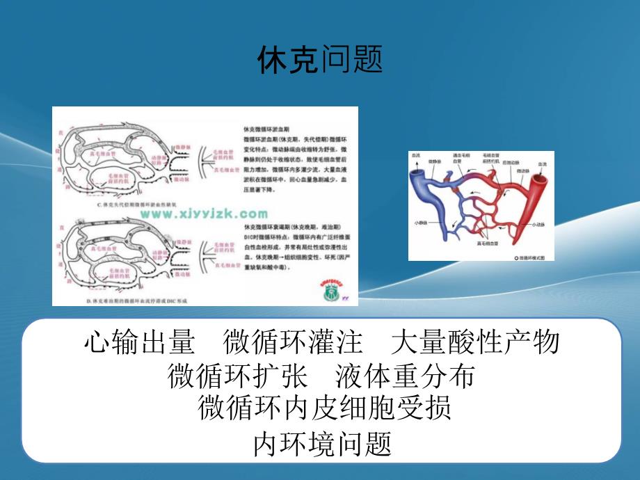 心肺复苏抢救知识培训_第3页