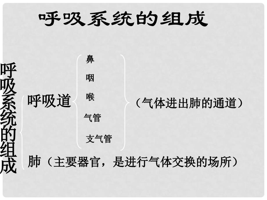 湖北省荆门市钟祥市兰台中学七年级生物下册 第三章 人体的呼吸课件 新人教版_第4页