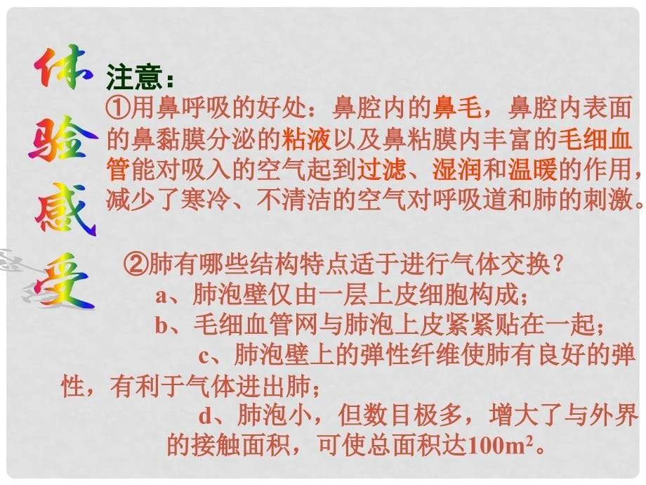 湖北省荆门市钟祥市兰台中学七年级生物下册 第三章 人体的呼吸课件 新人教版_第5页