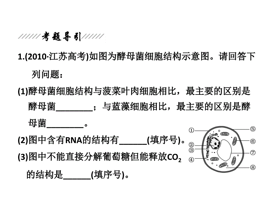 生命的结构基础与细胞生命历程_第4页